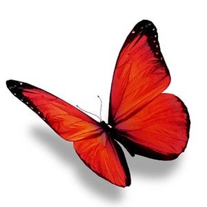 Meet your Posher, Throg